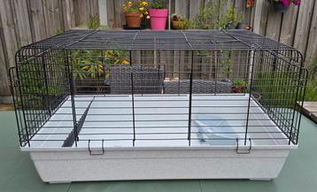 Kooi / hok geschikt voor Cavia's of dwergkonijn 99cm x 56cm beschikbaar voor biedingen