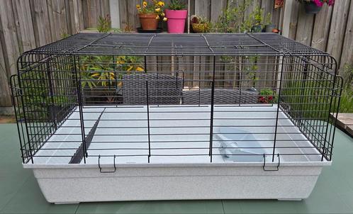 Kooi / hok geschikt voor Cavia's of dwergkonijn 99cm x 56cm, Dieren en Toebehoren, Knaagdieren en Konijnen | Hokken en Kooien