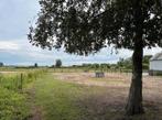 Te huur: weiland met paardenstalling - Hillegom, Dieren en Toebehoren, Stalling en Weidegang, Stalling