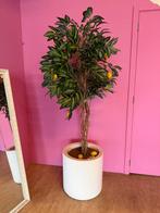 Kunstof citroen-boom | moet snel weg, Ophalen, Zo goed als nieuw