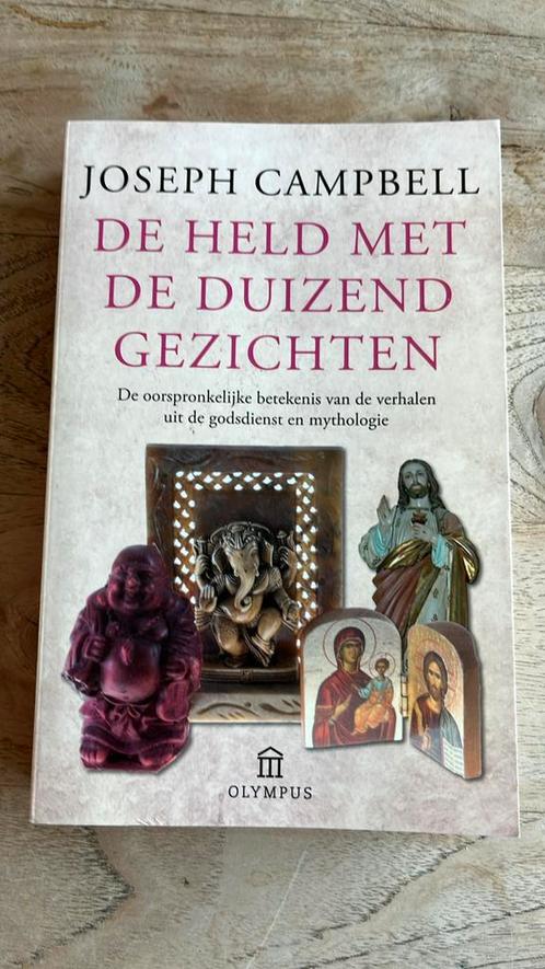 Joseph Campbell - De held met de duizend gezichten, Boeken, Godsdienst en Theologie, Gelezen, Ophalen of Verzenden