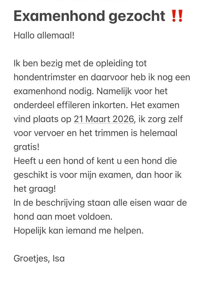 Examenhond gezocht ‼️, Dieren en Toebehoren, Honden-accessoires, Ophalen of Verzenden