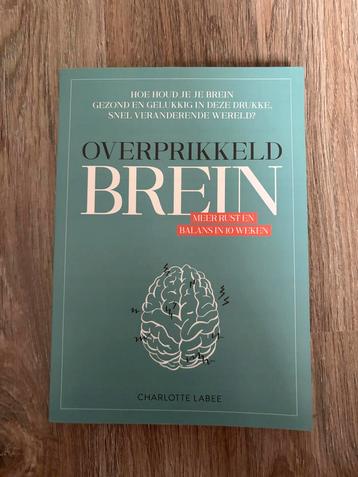 Overprikkeld Brein - Nieuw! van Charlotte Labee beschikbaar voor biedingen