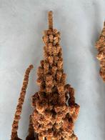 Gedroogde Amarant Takken - Decoratie // kerst - vaas, Ophalen, Nieuw