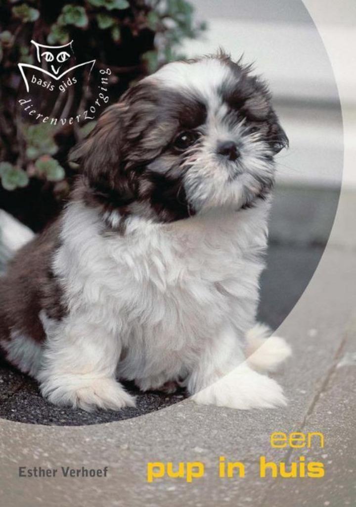 Een pup in huis - Esther Verhoef, Boeken, Dieren en Huisdieren, Nieuw, Honden, Ophalen of Verzenden