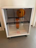 Omlet Hamster kooi, Dieren en Toebehoren, Minder dan 60 cm, Kooi, Minder dan 75 cm, Ophalen of Verzenden