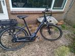 GIANT ENTOUR E-BIKE, Ophalen of Verzenden, Zo goed als nieuw, 50 km per accu of meer, Giant