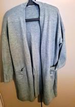 Vest zakjes blauw grijze maat l, Ca, Maat 42/44 (L), Zo goed als nieuw, Verzenden