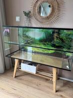 Luxe Terrarium 100 x 50 x 40, Dieren en Toebehoren, Knaagdieren en Konijnen | Hokken en Kooien, Zo goed als nieuw, Hok, Hamster