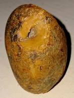 Gefossilieerd Ei met schelp, Verzamelen, Ophalen of Verzenden, Fossiel