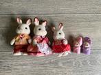 Sylvanian konijnen, Verzamelen, Ophalen of Verzenden, Zo goed als nieuw