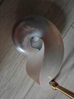 Nautilus Schelp op Standaard, Huis en Inrichting, Woonaccessoires | Overige, Ophalen of Verzenden, Gebruikt
