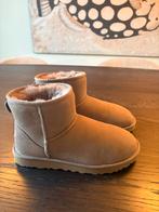 UGGS Classic Mini Caribou - Maat 41 - Nieuw!, Kleding | Dames, Schoenen, Ophalen of Verzenden, Nieuw, Bruin