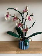 Lego bloemen 10311, Kinderen en Baby's, Speelgoed | Duplo en Lego, Ophalen, Zo goed als nieuw
