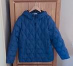 Blauwe Cecil gewatteerde jas, Kleding | Dames, Jassen | Winter, Ophalen, Blauw, Maat 42/44 (L), Zo goed als nieuw