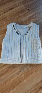 Leuk giletje maat 146/152, Ophalen, Meisje, Shirt of Longsleeve