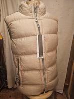 Bodywarmer Creme - S, M, L, Beige, Nieuw, Overige maten, Ophalen of Verzenden