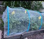 Gewasbescherming 2,5 meter bij 6 meter, Ophalen of Verzenden, Nieuw, Kweektent