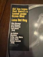 Lana Del Rey - Ocean Blvd Picture Disc Vinyl 2LP, Ophalen of Verzenden, 2000 tot heden, Zo goed als nieuw, 12 inch