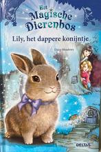 Daisy Meadows - Lily, het dappere konijntje, Ophalen of Verzenden, Zo goed als nieuw, Daisy Meadows