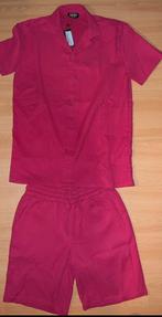 Nieuw Boohoo  heren zomerset roze blouse met korte broek XS, Kleding | Heren, Overige Herenkleding, Nieuw, Ophalen of Verzenden