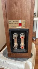DALI IKON 5, Audio, Tv en Foto, Luidsprekers, Zo goed als nieuw, 120 watt of meer, Front, Rear of Stereo speakers, Ophalen