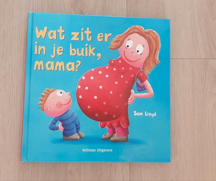 S. Lloyd - Wat zit er in je buik, mama?, Boeken, Kinderboeken | Jeugd | onder 10 jaar, Zo goed als nieuw, Ophalen of Verzenden