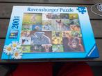 Leuke puzzel, Ophalen of Verzenden, Minder dan 500 stukjes, Zo goed als nieuw, Legpuzzel