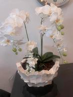 2 Eric kuster schelpenvazen met witte orchideeën, Ophalen, Zo goed als nieuw