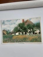 OP DE VELUWE   1950, Ophalen of Verzenden, 1940 tot 1960