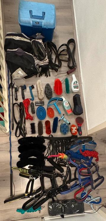 Borstels, halsters en meer beschikbaar voor biedingen