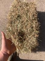 hooi, Dieren en Toebehoren, Dierenvoeding, Ophalen of Verzenden, Vee