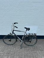 Koga Miyata herenfiets met 8 versnellingen, Gebruikt, Versnellingen, 61 tot 65 cm, Ophalen