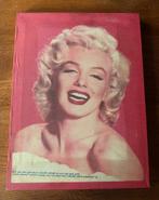 Canvas doek Marilyn Monroe, Antiek en Kunst, Kunst | Schilderijen | Klassiek, Ophalen of Verzenden