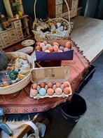 Verse Biologische eieren, Ophalen