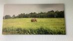 Groot canvas doek schilderij met olifant 120x60 cm, Ophalen, Zo goed als nieuw, Schilderij, 75 cm of meer