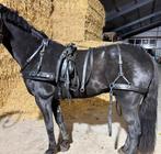 Compleet zilco enkelspantuig, Dieren en Toebehoren, Paarden en Pony's | Hoofdstellen en Tuigage, Ophalen