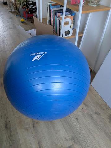 Rucanor fitnessbal/zitmeubel incl. pomp - in goede staat beschikbaar voor biedingen