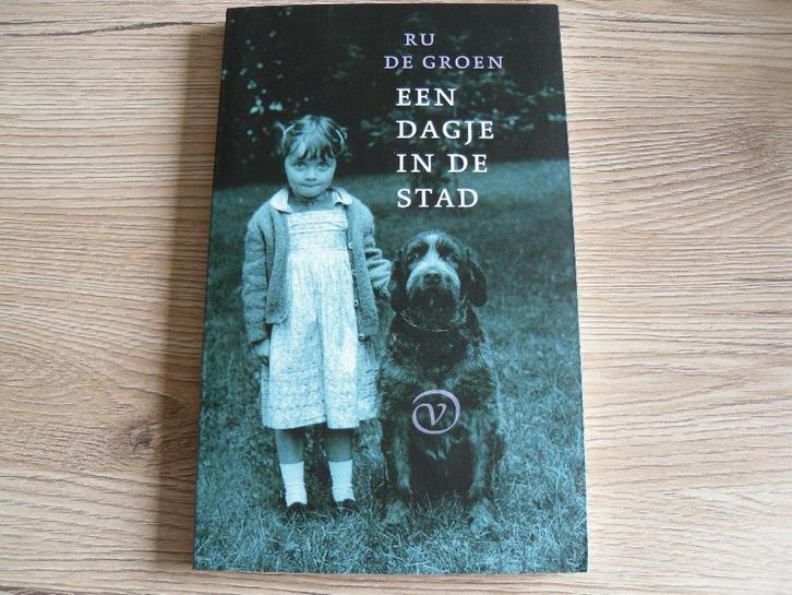 Een dagje in de stad - Ru de Groen, Boeken, Romans, Gelezen, Nederland, Ophalen of Verzenden