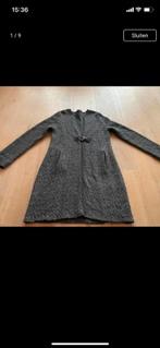 Anneclaire vest alpaca nieuwstaat L, Kleding | Dames, Truien en Vesten, Anne claire, Maat 42/44 (L), Ophalen of Verzenden, Zo goed als nieuw
