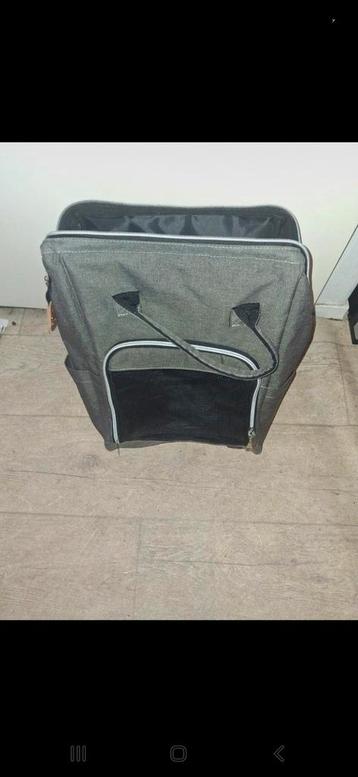 Reis rugtas kleine hond beschikbaar voor biedingen