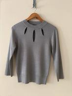 Claudia Sträter blouse top glans zilver maat 36 nieuw., Ophalen of Verzenden, Nieuw, Maat 36 (S), Grijs