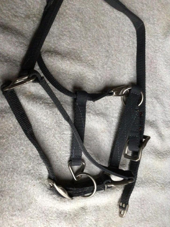 Halster. Nieuw. Maat Full. Speciaal model. Zie omschrijving., Dieren en Toebehoren, Paarden en Pony's | Hoofdstellen en Tuigage
