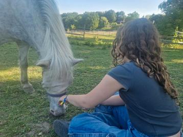 Pony activiteiten weekend, te plannen in overleg!  beschikbaar voor biedingen