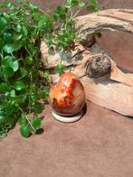 Rode Agaat ei, Ophalen of Verzenden, Mineraal