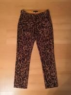 Tramontana broek maat 34 XS, Bruin, Tramontana, Ophalen of Verzenden, Zo goed als nieuw