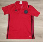 Ajax Polo Shirt Seizoen 2016/2017, Sport en Fitness, Voetbal, Maat XS of kleiner, Ophalen of Verzenden, Zo goed als nieuw, Shirt