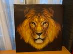 Leeuw Print op Canvas, Ophalen, Zo goed als nieuw, Print, Minder dan 50 cm