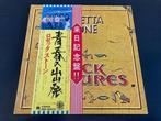 Rosetta Stone “Rock Pictures” gatefold uit Japan, Verzenden, 12 inch