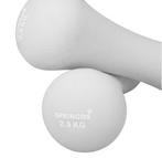 Dumbbell Set - 5 kg - Grijs, Sport en Fitness, Ophalen, Zo goed als nieuw, Buik, Dumbbell